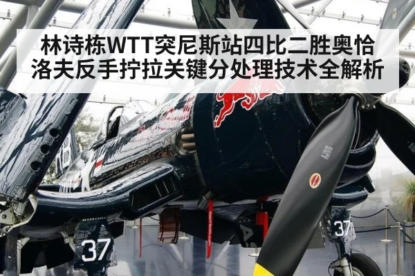 林诗栋WTT突尼斯站四比二胜奥恰洛夫反手拧拉关键分处理技术全解析